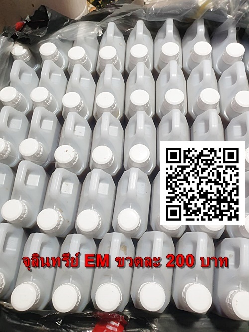 บริการดูดส้วม 0973300179 ช่างโต บริการดูดส้วม 0973300179 ช่างโต