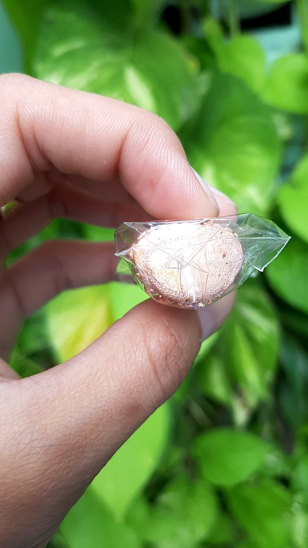 กรอบพระกริ่งสะท้านไตรภพ (กรอบเงินชุบทองลงยา)วัดท่าขนุน ปี 63