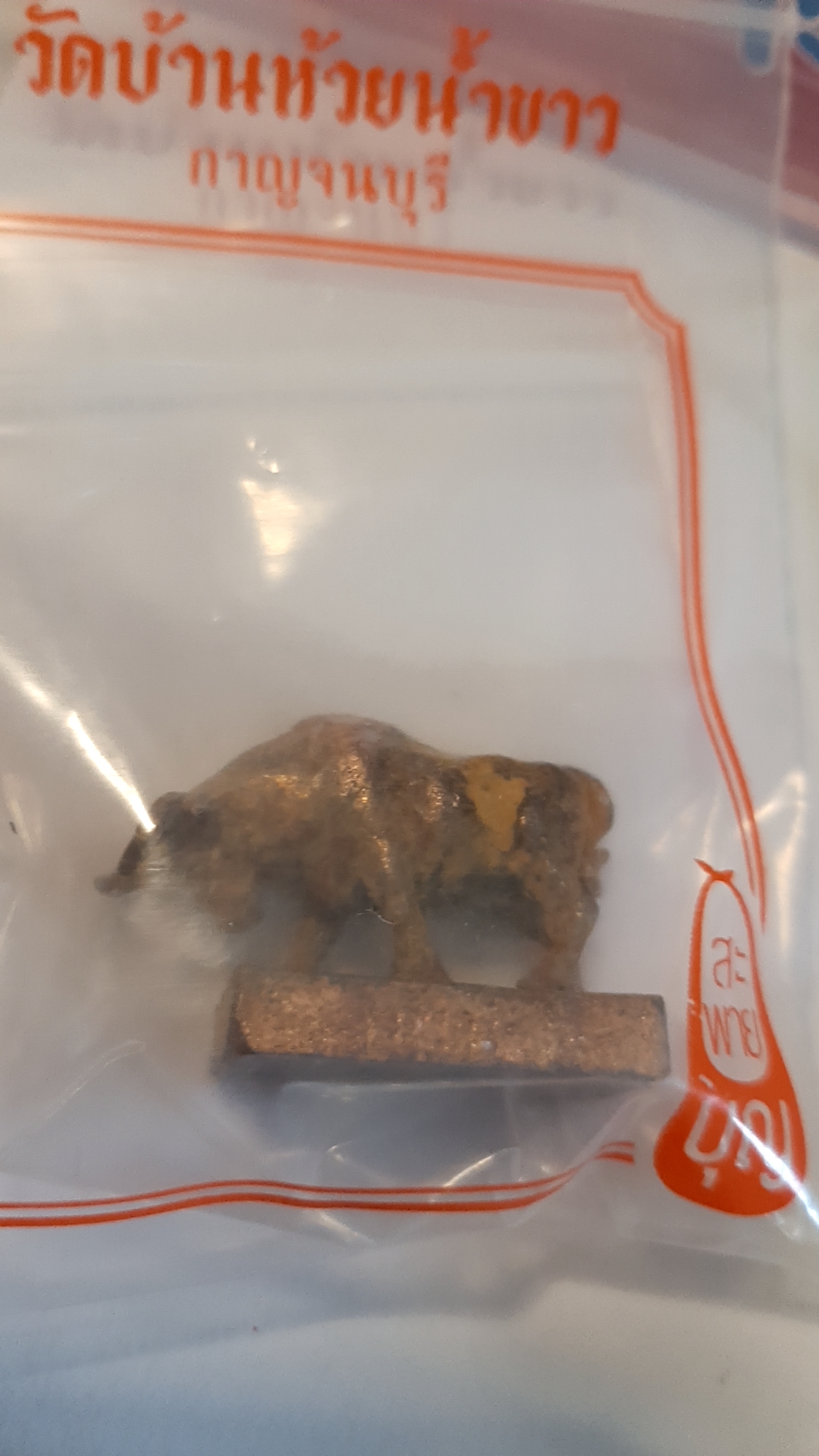 วัวธนู (ภาพแทน แต่ละตัวต่างกันไป) วัดห้วยน้ำขาว ลพ.เล็กร่วมเสก