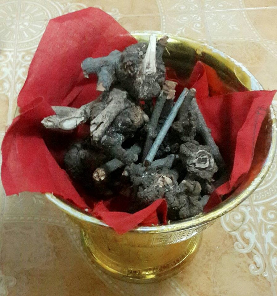 ท่านวิชิตธนาชัย หุ่นพยนต์ ล.พ.หนุน วัดพุทธโมกข์