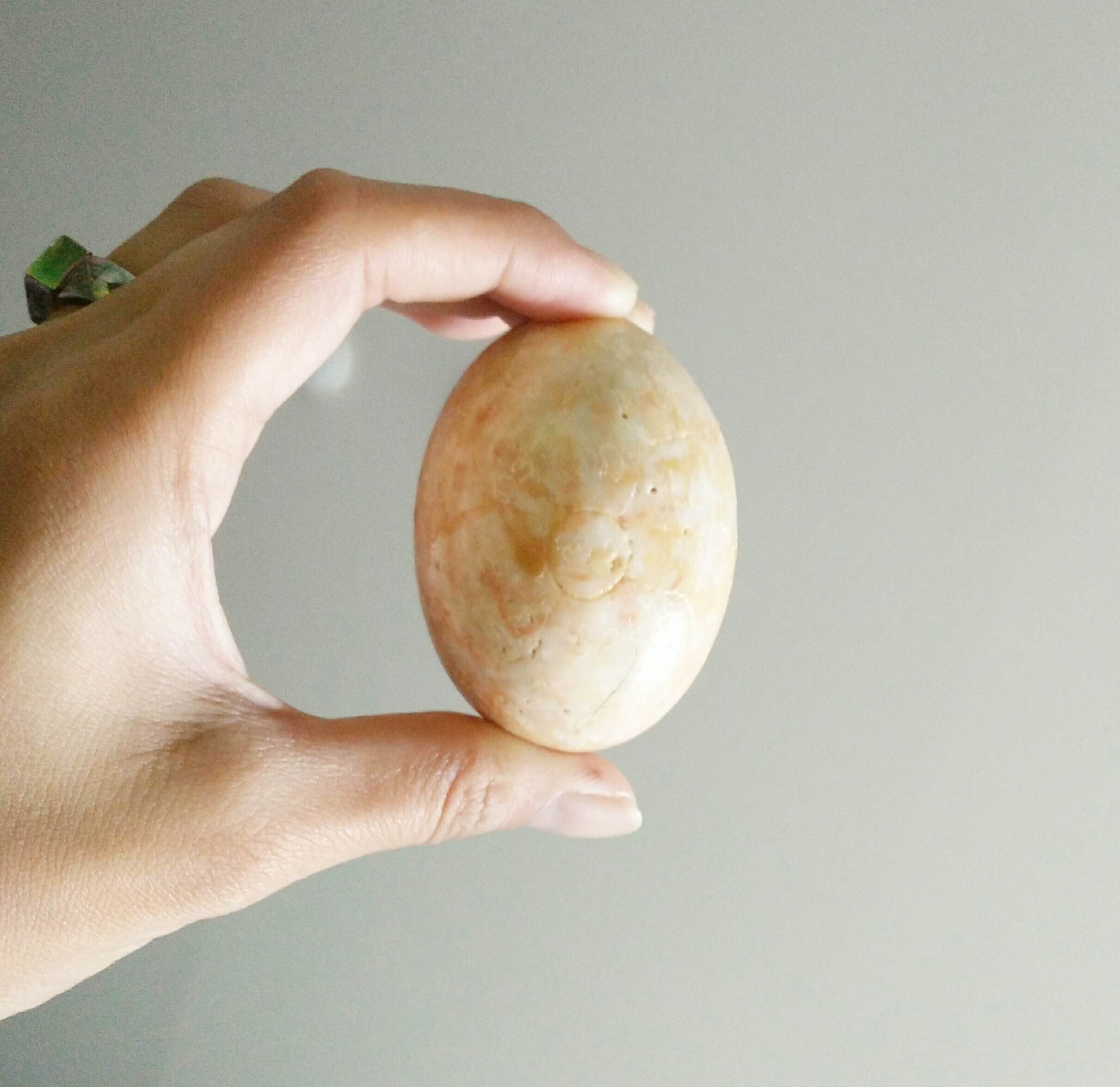 ไข่พญากาเผือก ลพ.สนิท (ทันยุค)จารหน้าหลัง