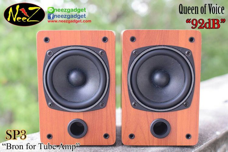 ลำโพง NeeZ SP3 ขับง่าย แอมป์หลอด 1 วัตต์ก็หวานได้ (สีบีซ)
