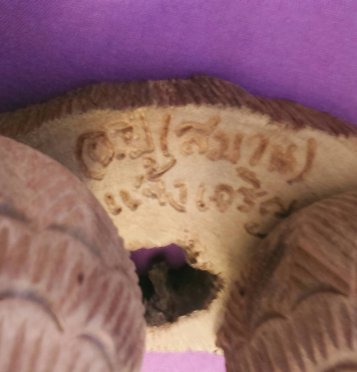 นกคุ้ม 1 ใน 59 ตัว อ.ปี (สมาน แจ้งเจริญ) ปี 59