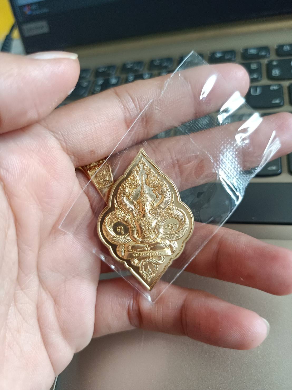 เหรียญนาคเกี้ยวกันภัย เนื้อทองทิพย์ วัดท่าขนุน