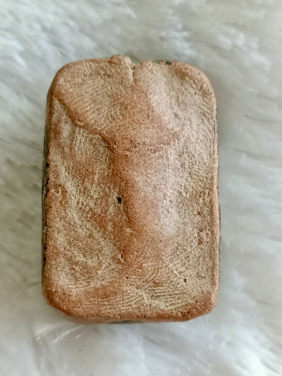 พระพิมพ์หลวงพ่อปาน ขี่ครุฑ หลวงพ่อหนุน วัดพุทธโมกข์ พุทธาภิเษก (กรุวัด)