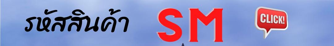 รหัสSM เครื่องออกกำลังกายกลางแจ้งรุ่นมาตรฐานเกรดเอ