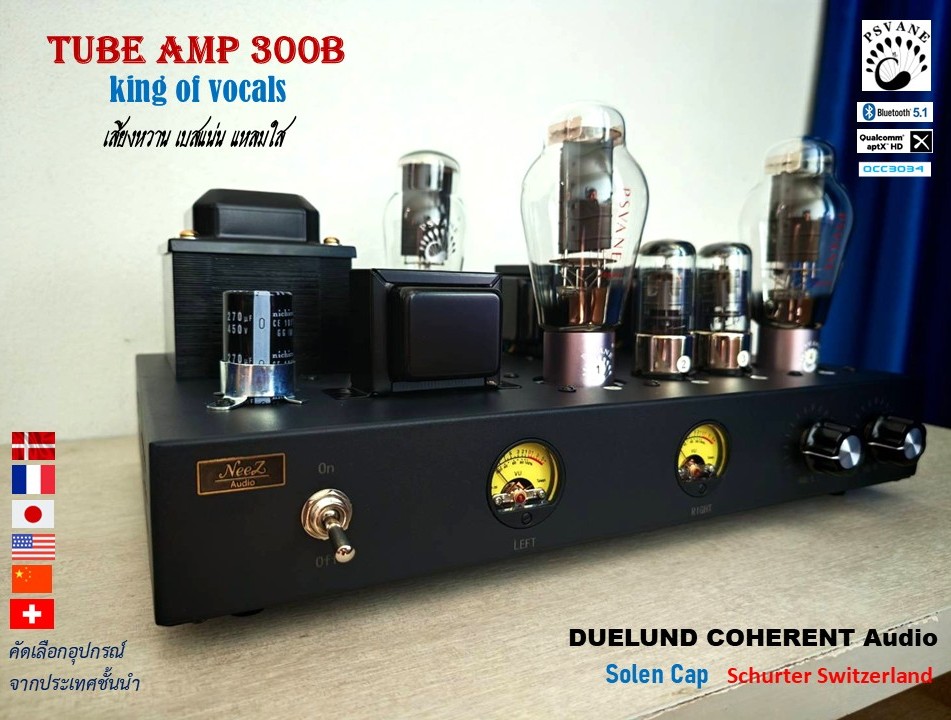 แอมป์หลอด 300B Tube Amp Pure Class A เสียงหวาน เบสแน่น แหลมใส - ร้านไทย พร้อมส่ง -