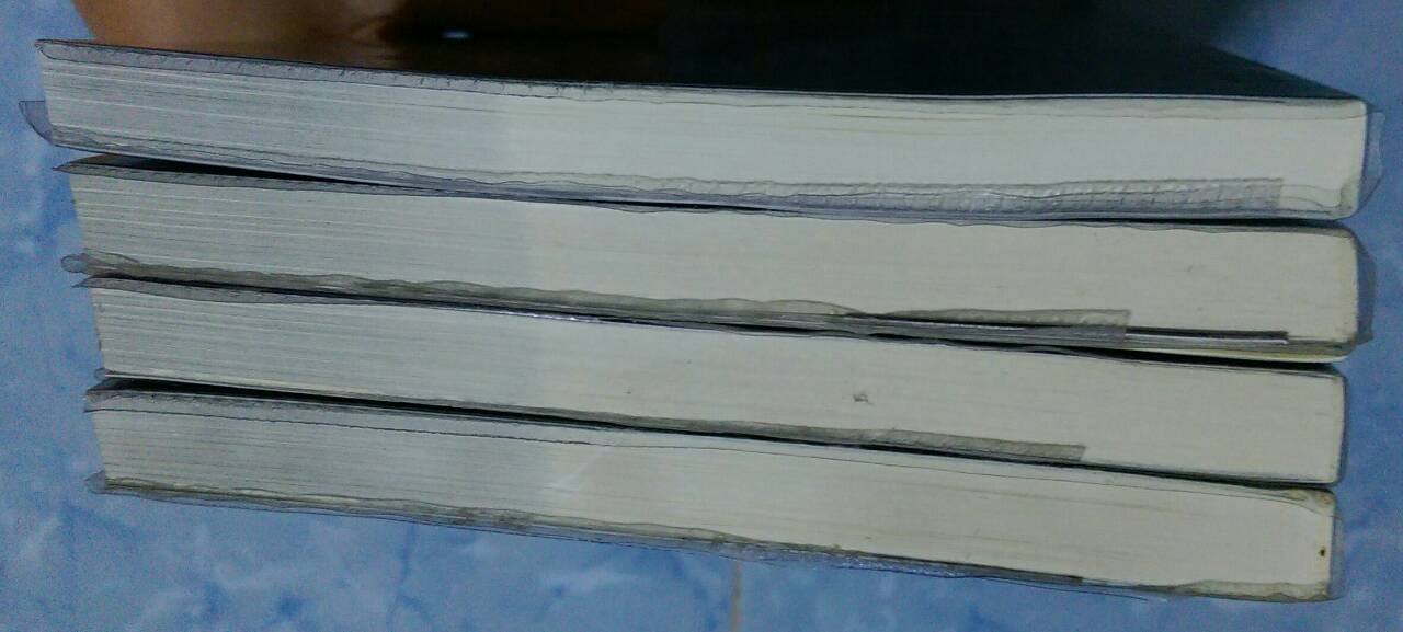 ลำนำวิหคสวรรค์ 1-29