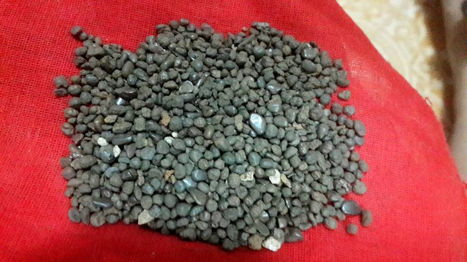 ท่านวิชิตธนาชัย หุ่นพยนต์ ล.พ.หนุน วัดพุทธโมกข์