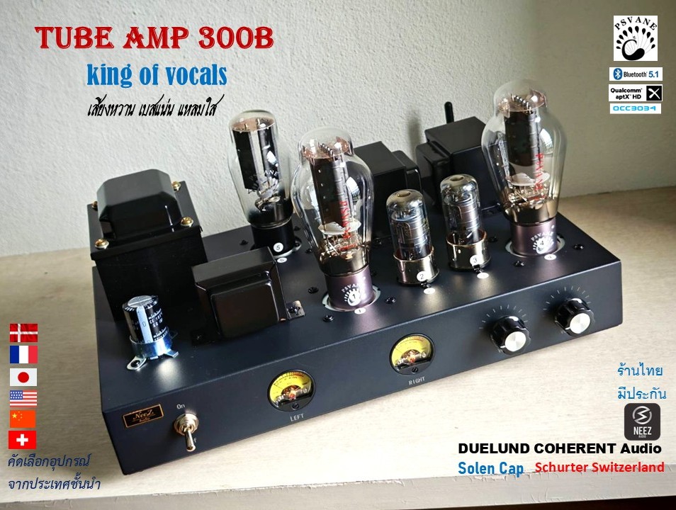 แอมป์หลอด 300B Tube Amp Pure Class A เสียงหวาน เบสแน่น แหลมใส - ร้านไทย พร้อมส่ง -