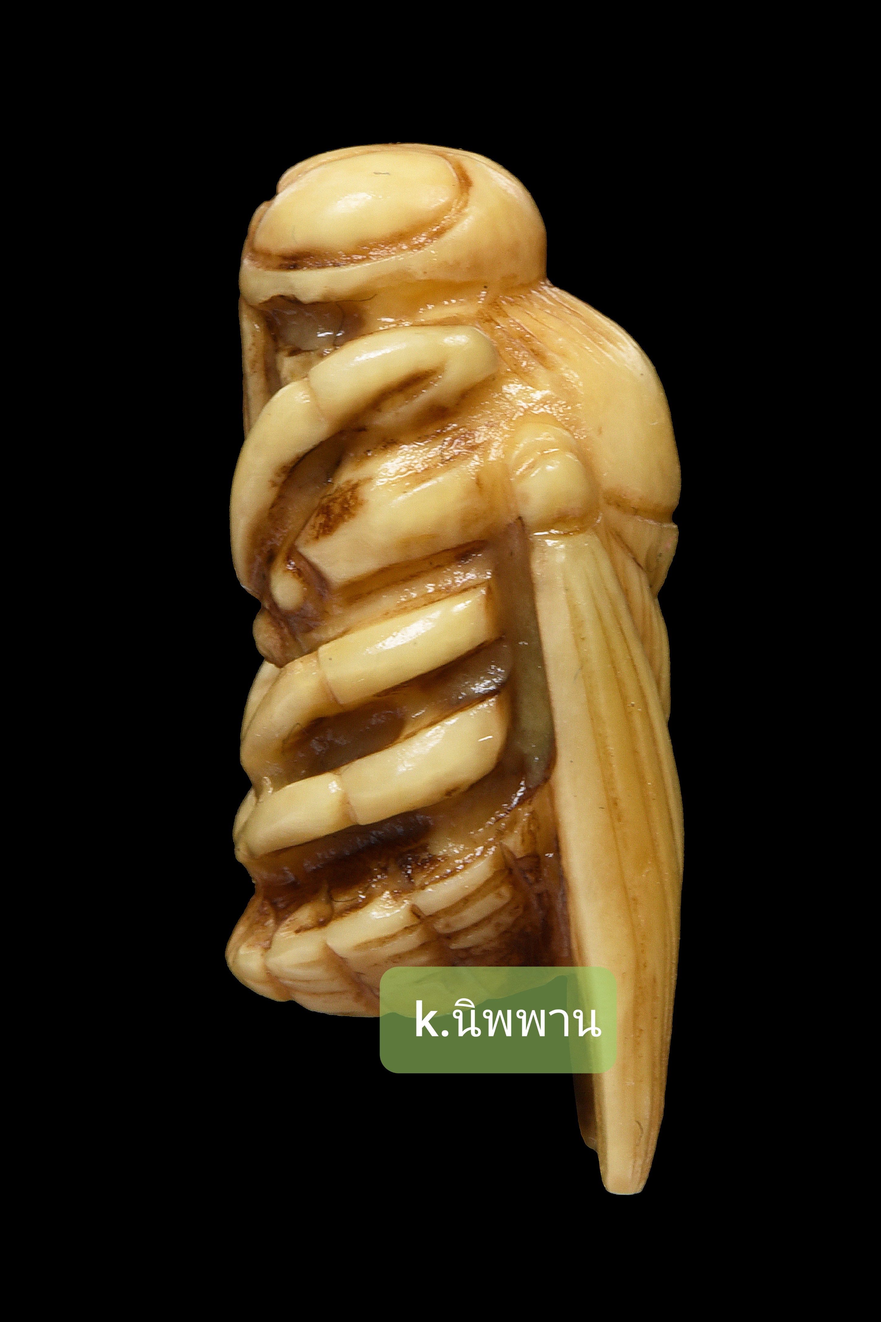 พญาแมลงภู่คำ (รายการโชว์)