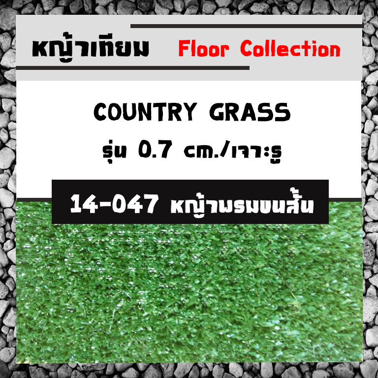 COUNTRY GRASS