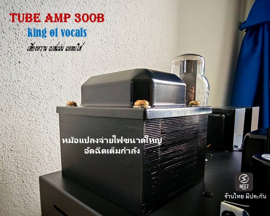 แอมป์หลอด 300B Tube Amp Pure Class A เสียงหวาน เบสแน่น แหลมใส - ร้านไทย พร้อมส่ง -