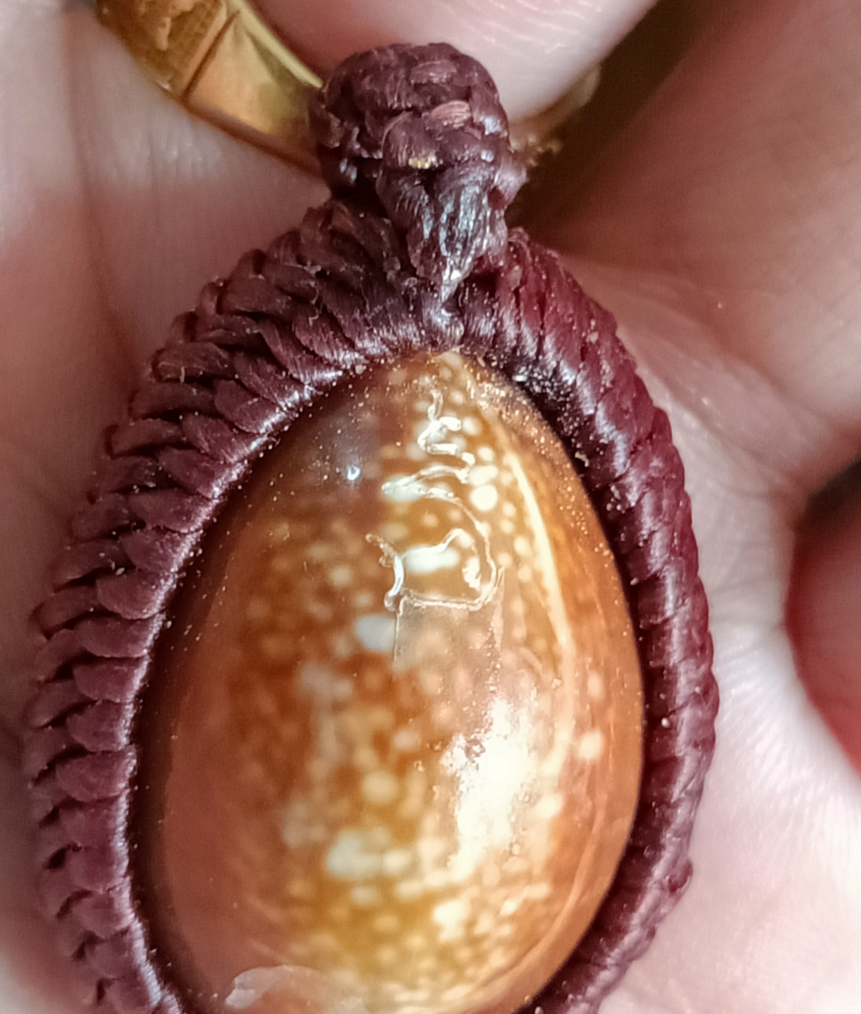 เบี้ยแก้ หลวงพ่อหนุน วัดพุทธโมกพลาราม ปี 64