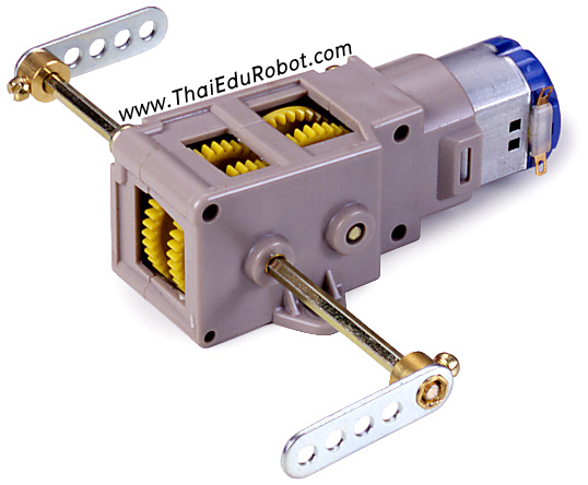 หุ่นยนต์บังคับมือเลี้ยงแกะ ศิลปหัตถกรรม พื้นฐานระดับประถม มอเตอร์ทามิย่า