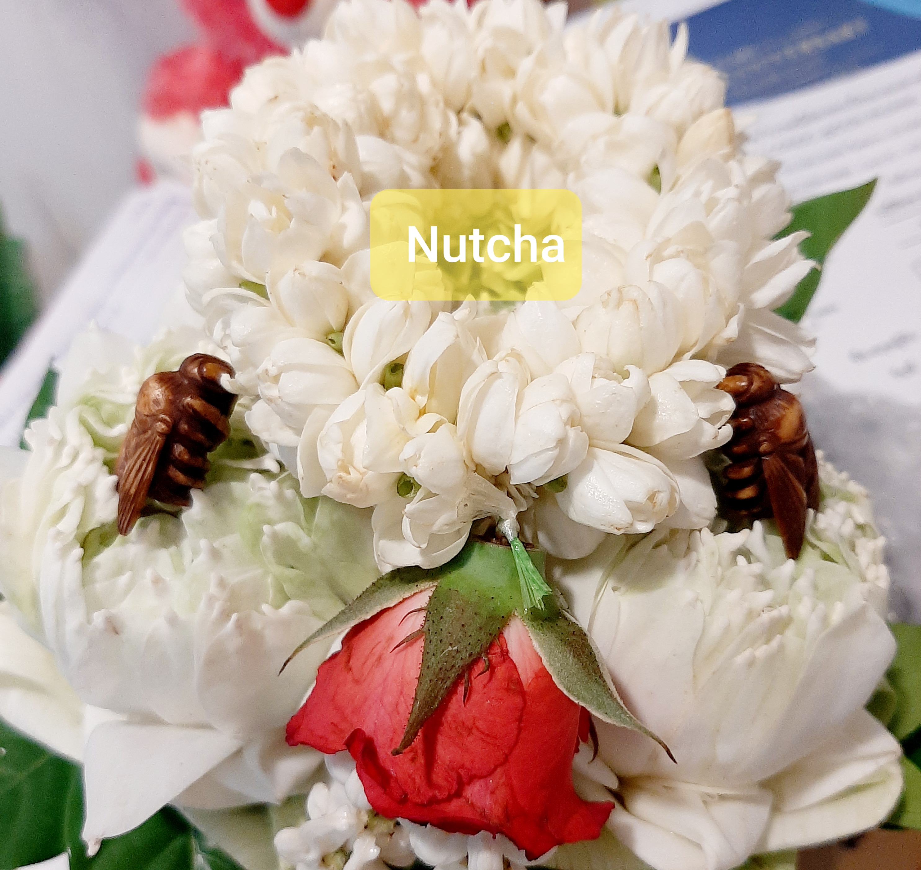 พญาแมลงภู่คำ (รายการโชว์)