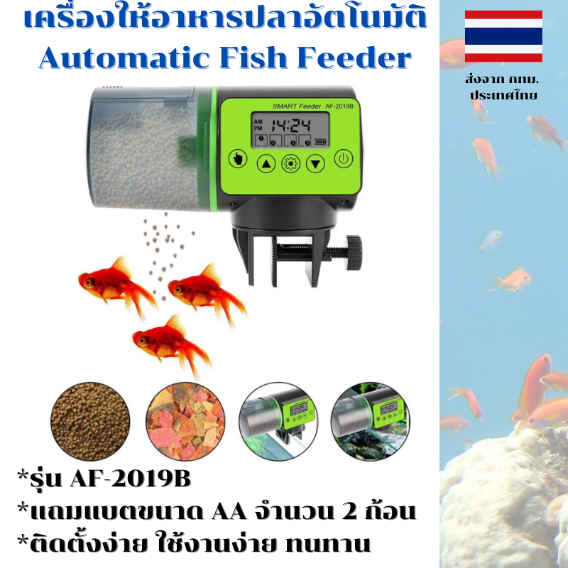 เครื่องให้อาหารปลาอัตโนมัติ AF-2019B ปรับปริมาณและความถี่ได้ สำหรับเม็ดกลาง ใหญ่ ใช้ง่าย แถมถ่านฟรี ส่งจากไทย