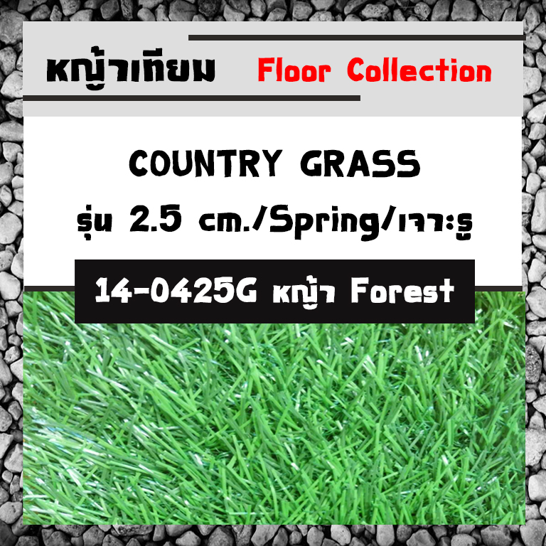 COUNTRY GRASS