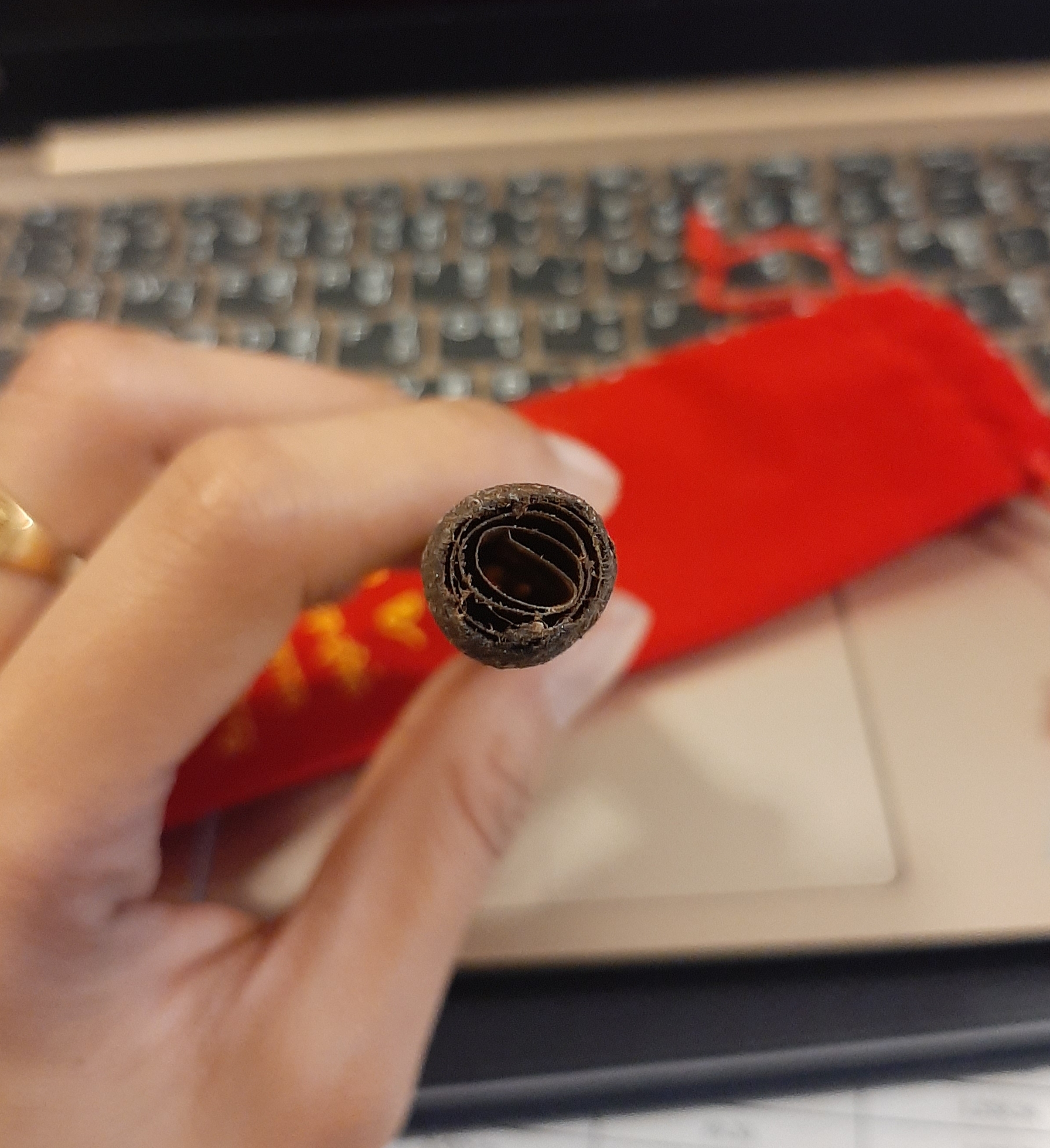 ตะกรุดมหาระงับ หลวงพ่อหนุน วัดพุทธโมกพลาราม