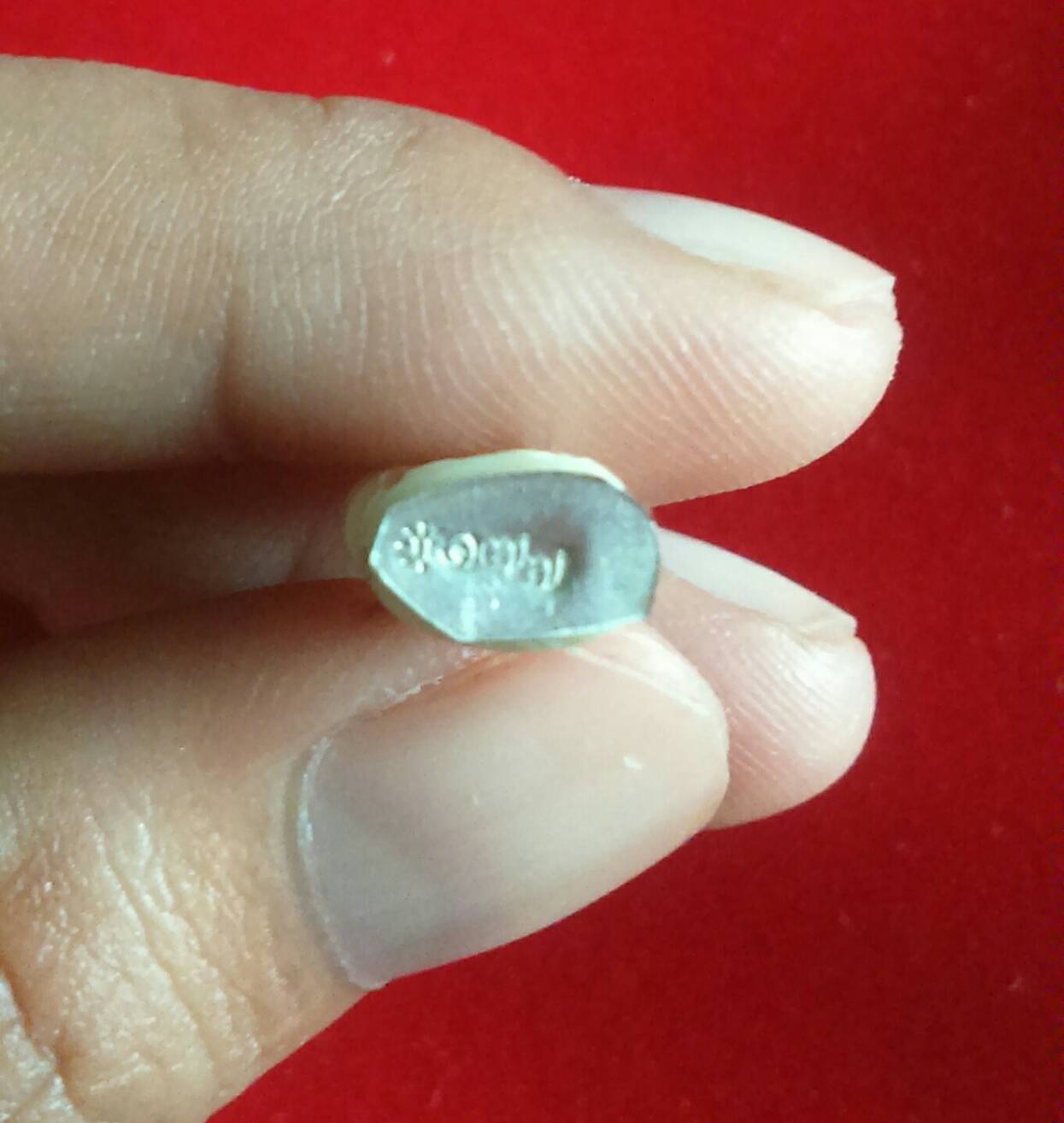 เสือโปร่งฟ้า(สาริกา) No.177 (1 ใน 250 ตัว) ลป.แก่น วัดเขื่อนท่าทุ่งนาประชาสรรค์ ปี 58