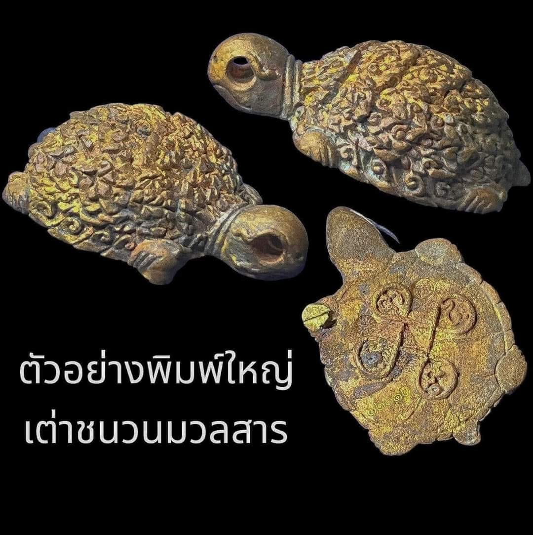 พญาเต่าเรือนชนวน (พิมพ์ใหญ่) หลวงปู่มหาศิลา พิธีเดียวกับมหาพุทธาภิเษกเหนือดวง 2