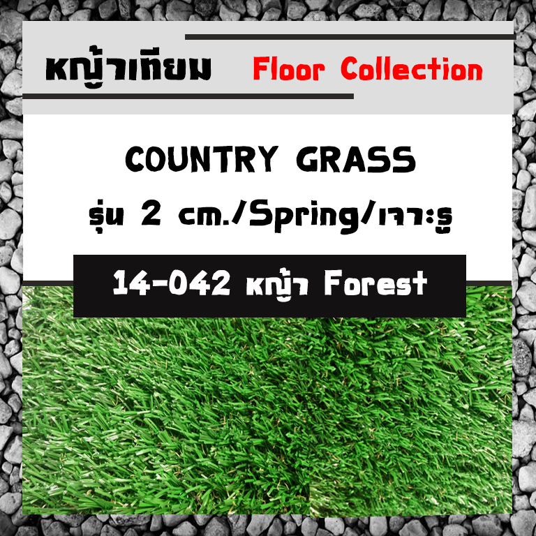 COUNTRY GRASS