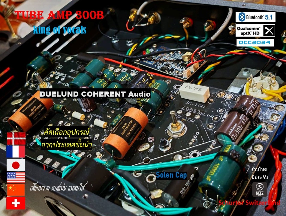 แอมป์หลอด 300B Tube Amp Pure Class A เสียงหวาน เบสแน่น แหลมใส - ร้านไทย พร้อมส่ง -