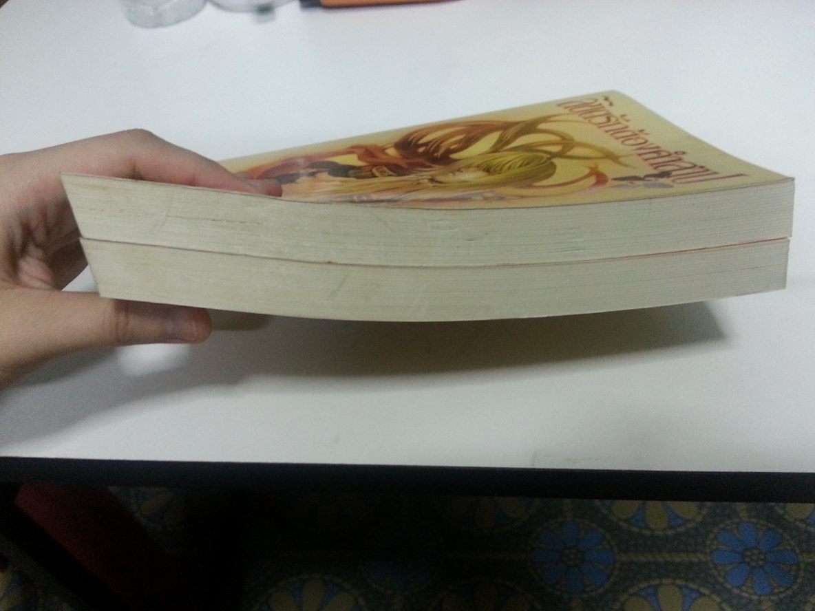 ลิขิตรักต้องคำสาป 1-2 จบ by muk