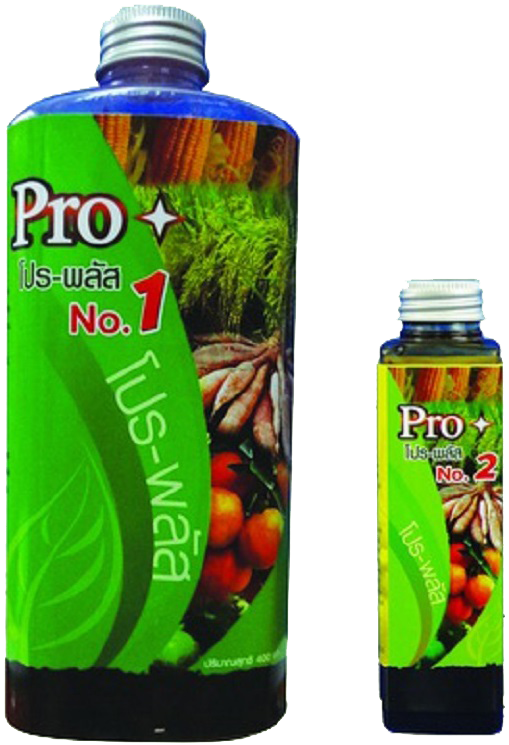 โปร พลัส Pro plus