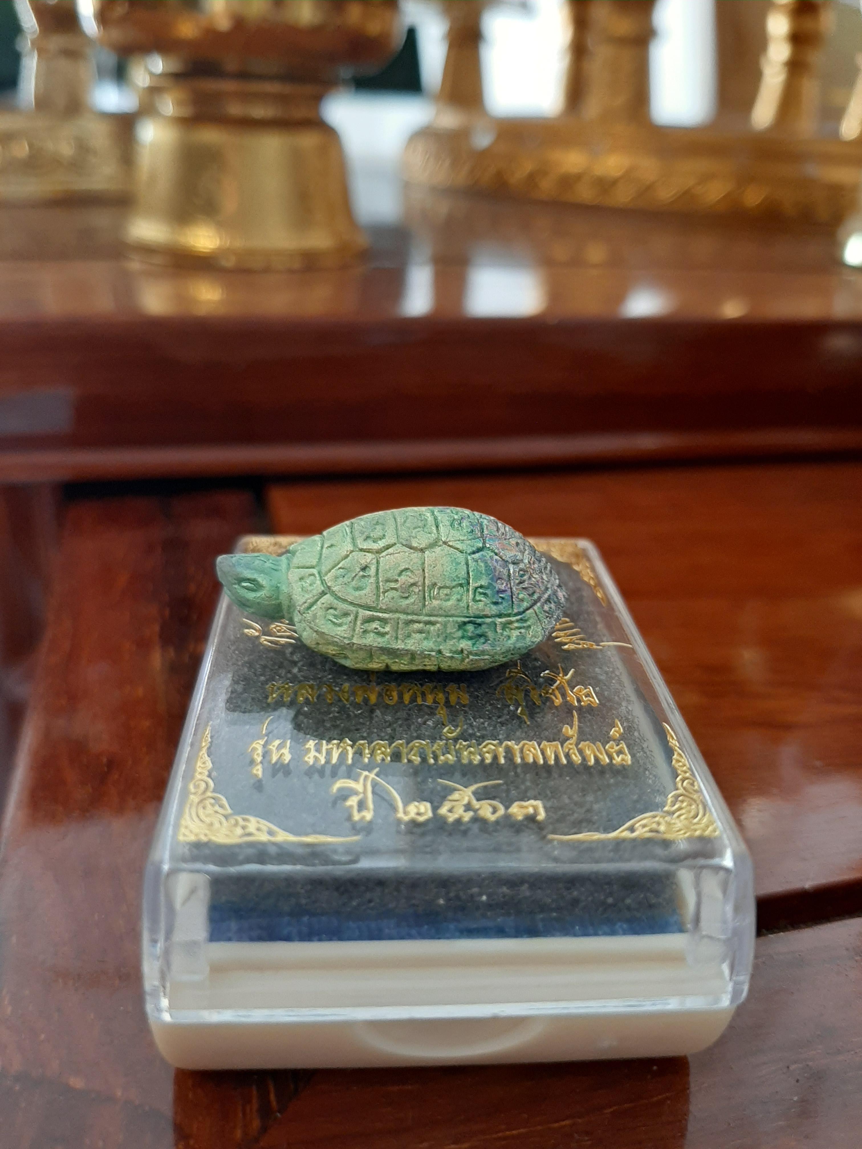 พญาเต่า เนื้อรวมแร่ หลวงพ่อหนุน วัดพุทธโมกข์ สีพาสเทล โค๊ตใต้ท้อง