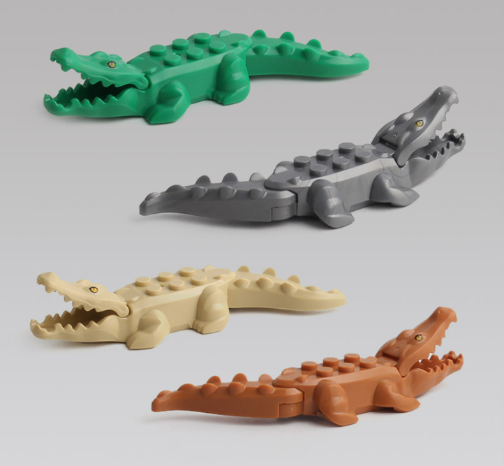จระเข้น้ำเค็ม Crocodile และจระเข้น้ำจืด Alligator