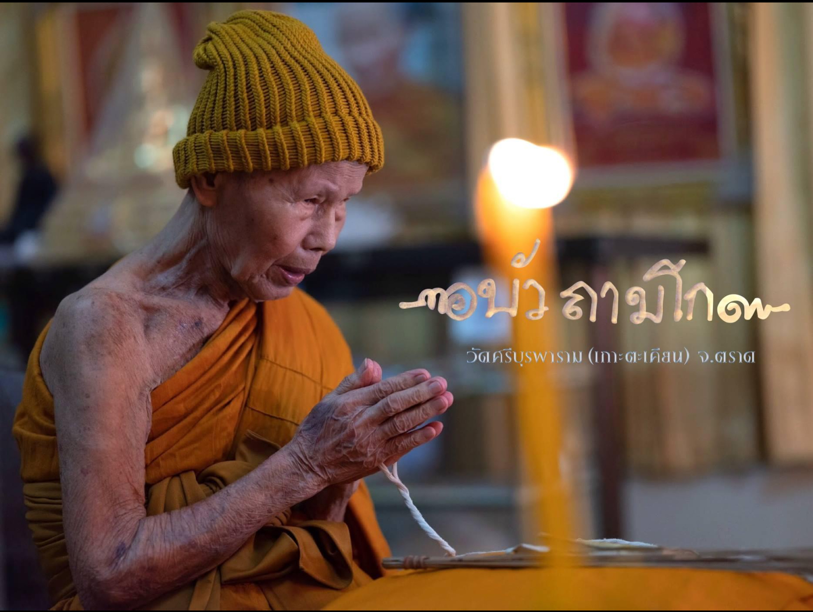 เบี้ยแก้หลวงปู่บัว ถามโก ที่ระลึก 200 ปี วัดละหารไร่ ปี 54 ผงพรายกุมารหลวงปู่ทิม