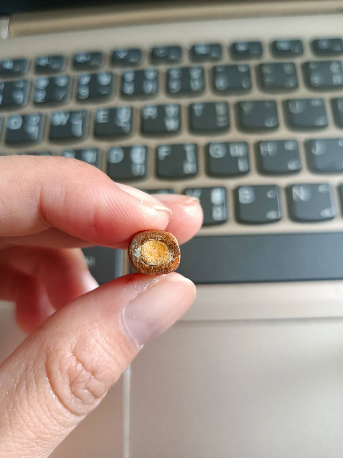 วัวธนูพญาโครัตนมงคล (แบบไม่มีจาร) วัดโพธิผักไห่ หลวงพ่อเล็ก (เลี่ยมกันน้ำ)วัดท่าขนุนพุทธาภิเษก