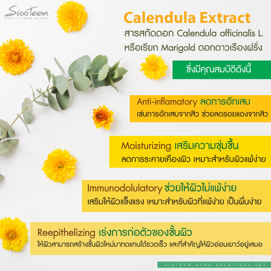 SIXTEEM ACNE Solutions Serum เซรั่มสิว ลดสิวอักเสบ รักษาสิว สูตรป้องกันสิว