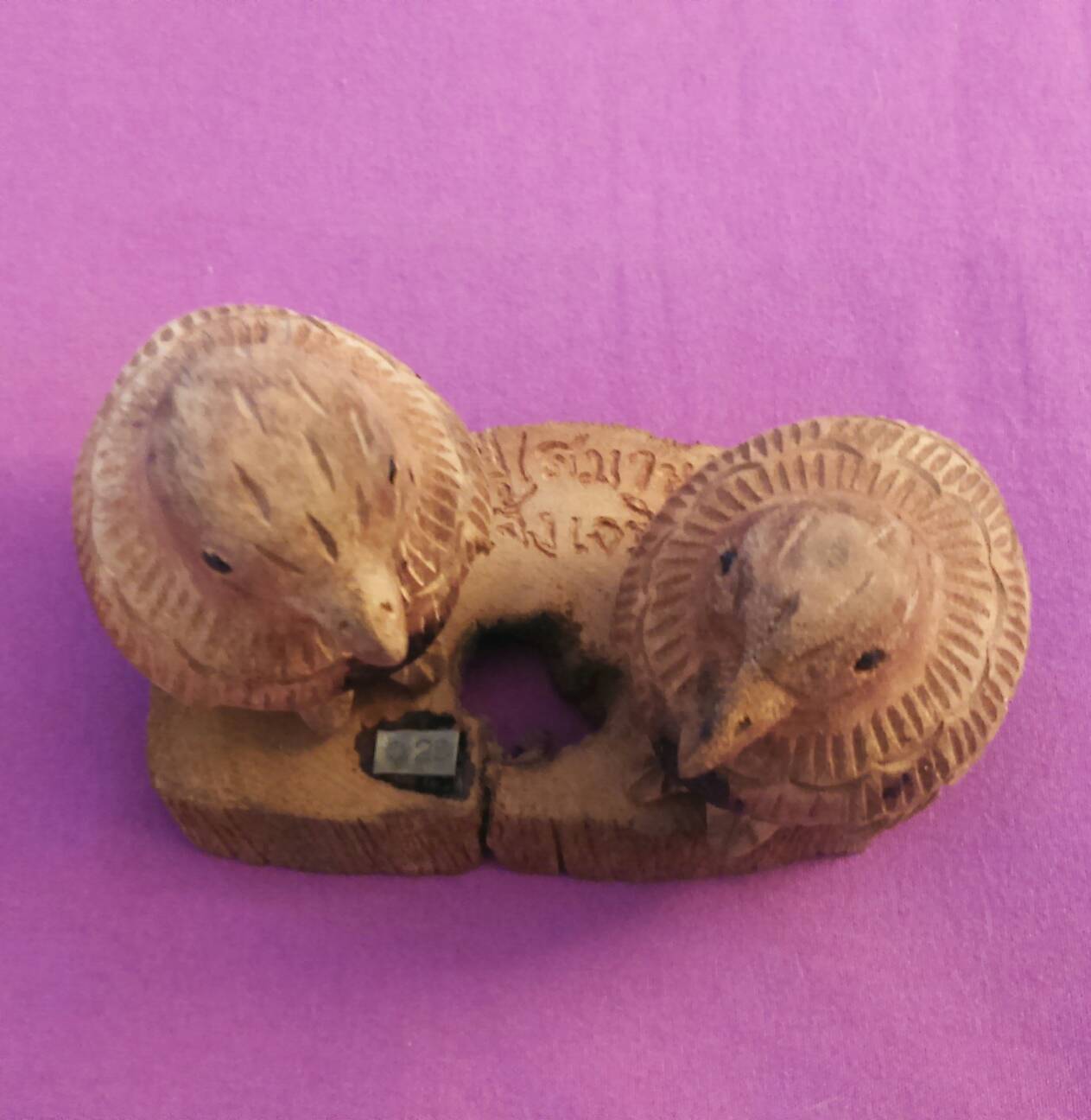 นกคุ้ม 1 ใน 59 ตัว อ.ปี (สมาน แจ้งเจริญ) ปี 59