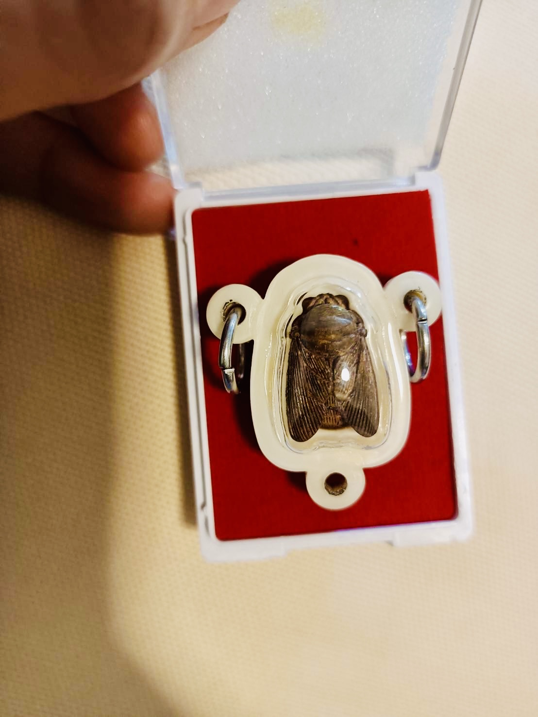 แมลงภู่คำ เจ้าทรัพย์ เสาร์ 5 เลี่ยมสามห่วง หลวงปู่ศิลา