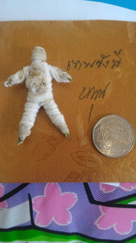 ท่านวิชิตธนาชัย หุ่นพยนต์ ล.พ.หนุน วัดพุทธโมกข์