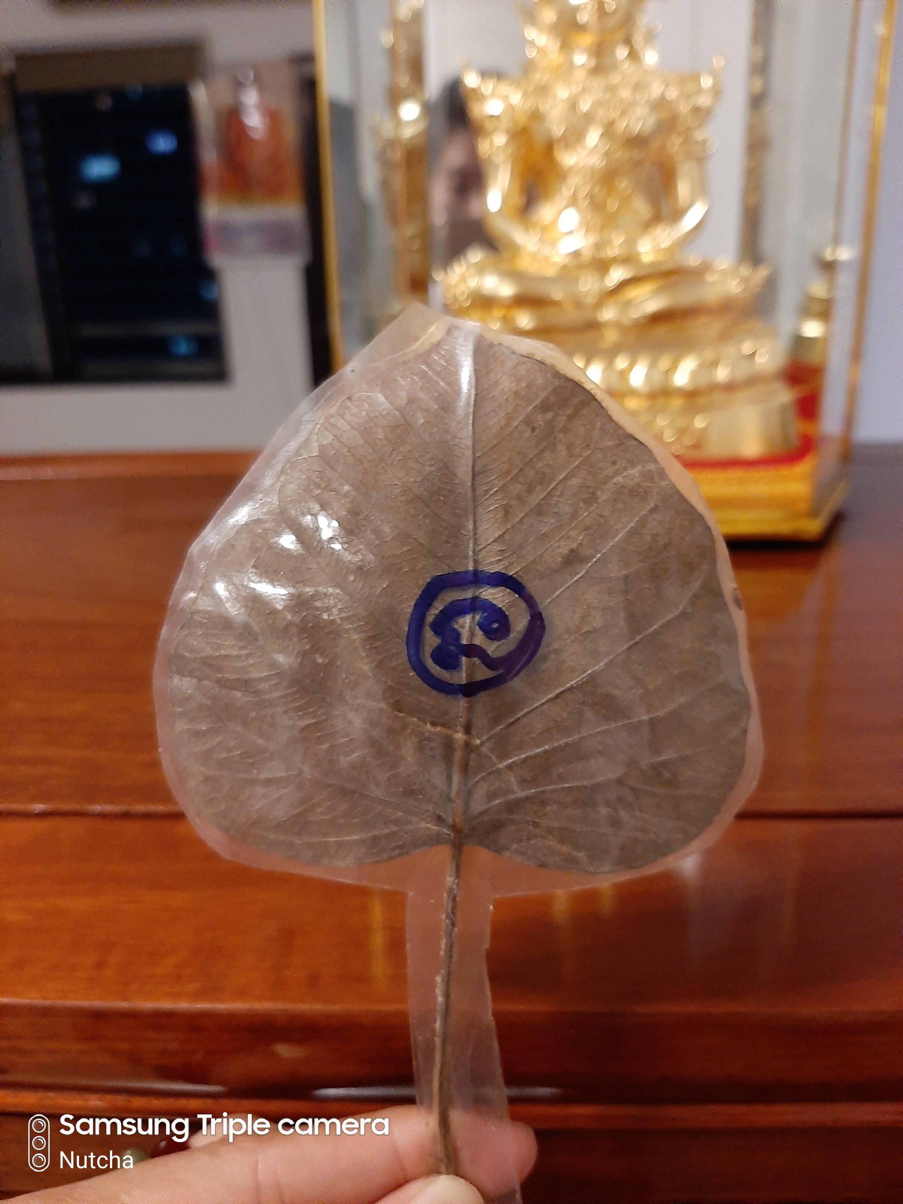 ใบไม้มงคล (๑) พระอาจารย์เล็กจารยันต์นะโมตาบอด งานเสาร์ ๕ (พิธีนี้องค์ปฐมเสด็จ)