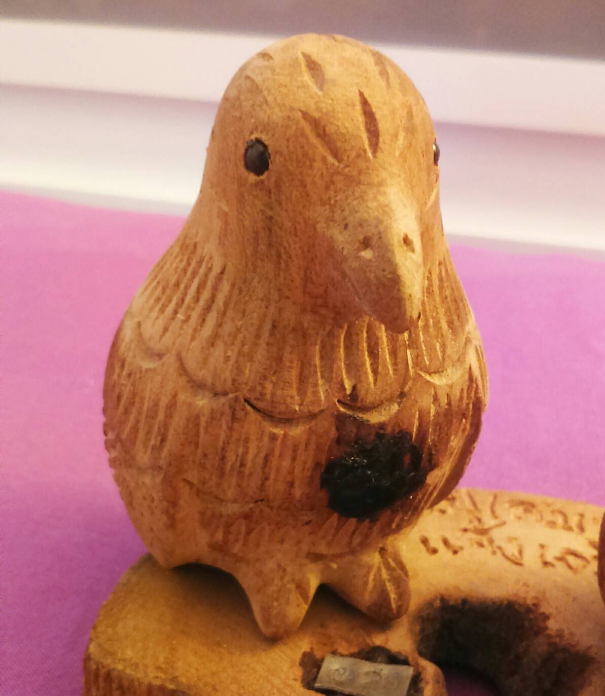 นกคุ้ม 1 ใน 59 ตัว อ.ปี (สมาน แจ้งเจริญ) ปี 59