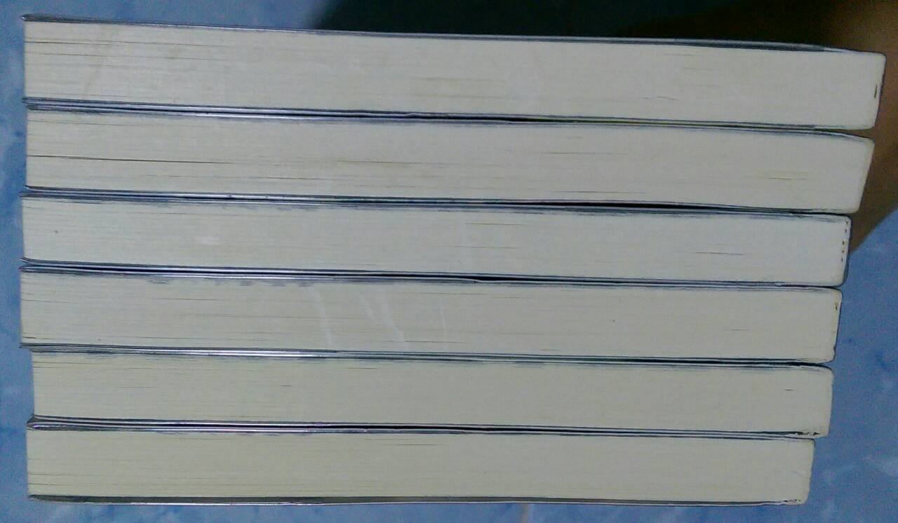 ลำนำวิหคสวรรค์ 1-29