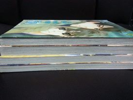 ระวังจะตกหลุมรัก 1-4 จบ (ส่งธรรมดาฟรี)