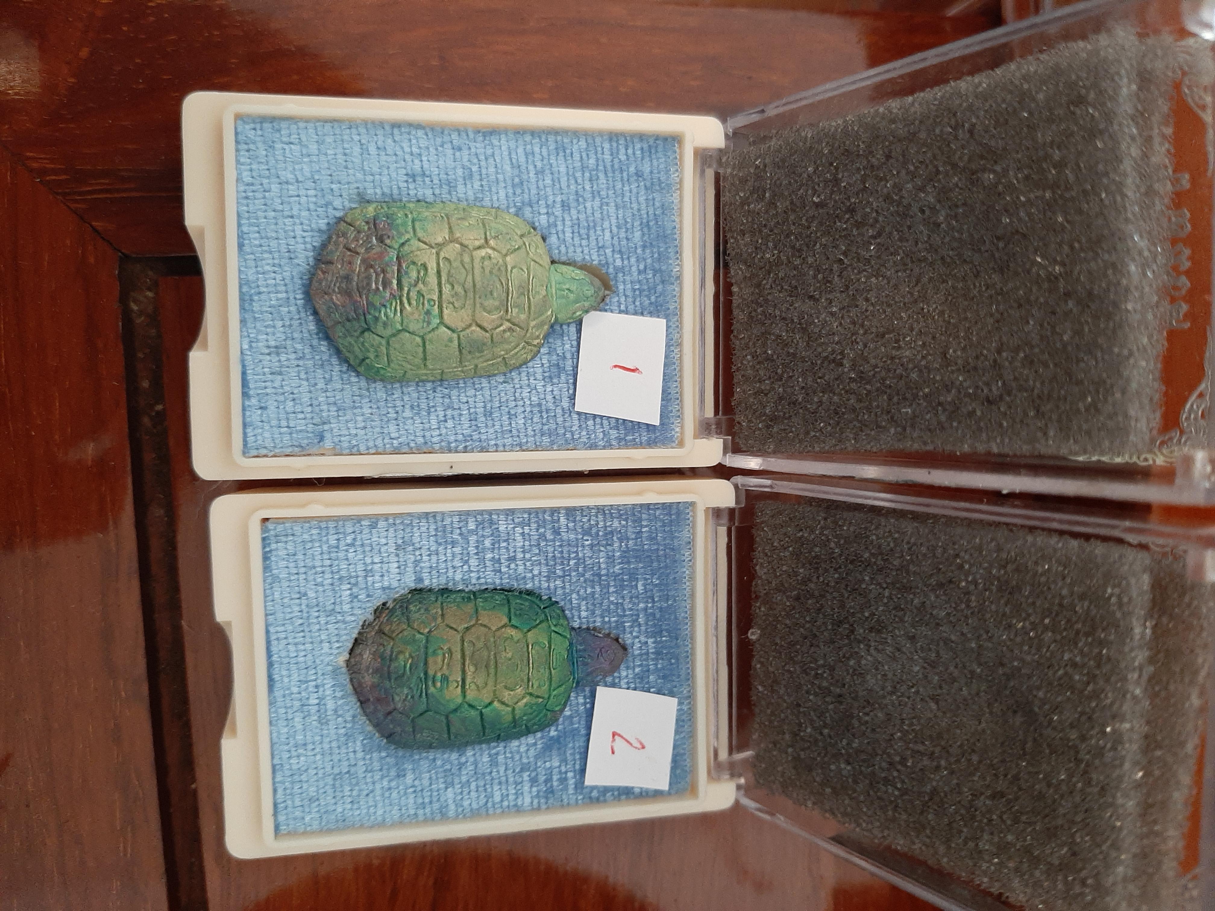 พญาเต่า เนื้อรวมแร่ หลวงพ่อหนุน วัดพุทธโมกข์ สีพาสเทล โค๊ตใต้ท้อง