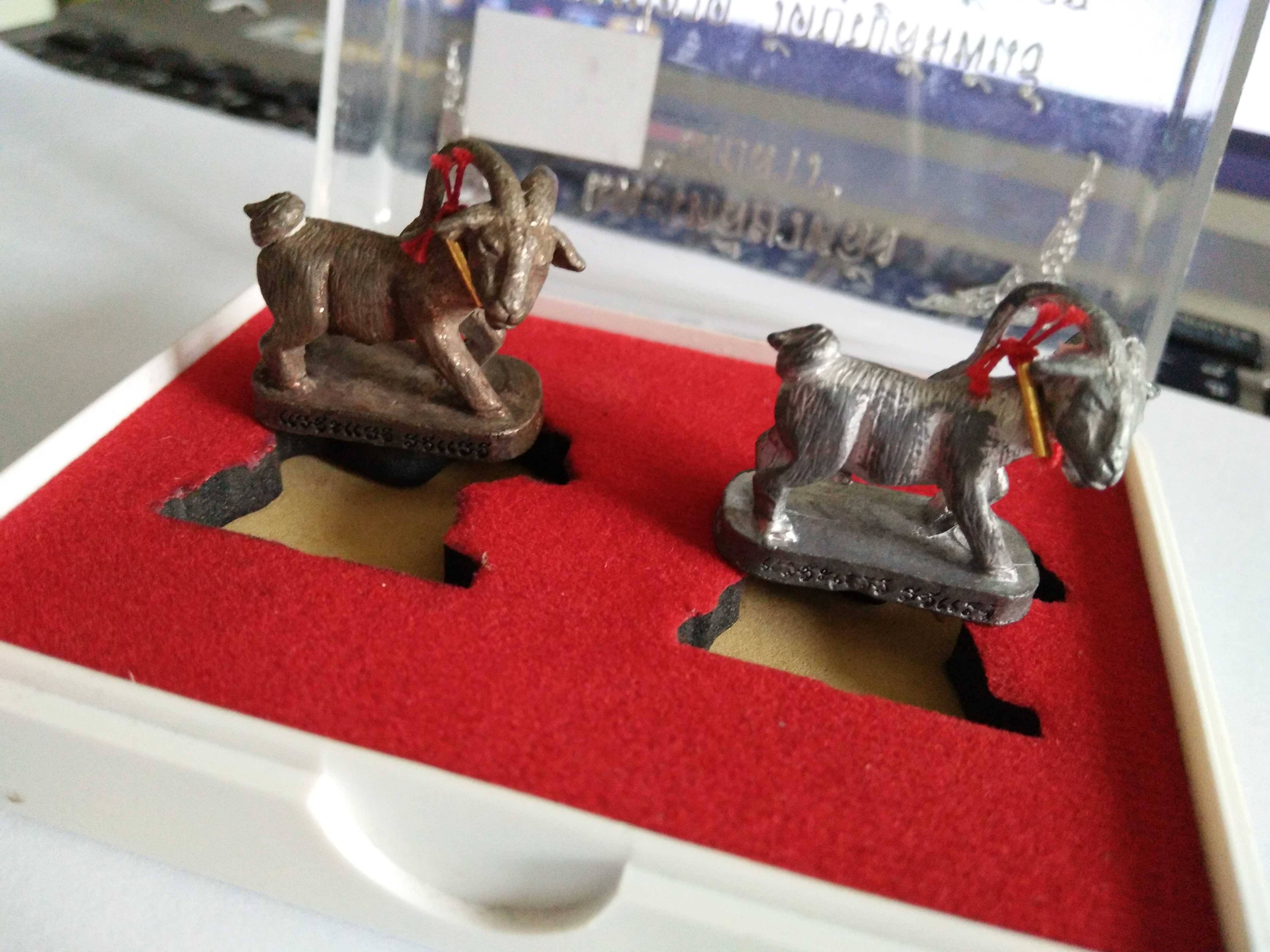 แพะเสยสาว เนื้อนวโลหะ ตะกั่ว คล้องตะกรุดทองคำ ลป.อาด วัดบุญสัมพันธ์ ชุดกรรมการ 2