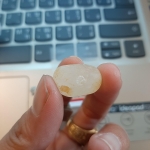 ปฐวีธาตุ หลวงพ่อไพบูลย์ สุมังคโล