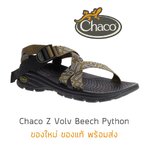 รองเท้า Chaco Z Volv - Beech Python ของใหม่ ของแท้ พร้อมกล่อง พร้อมส่ง รองเท้าเดินป่า รองเท้าแตะเดินป่า รองเท้าชาโคล