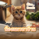 หาบ้านให้แมวฟรี ใกล้ฉัน แมวจร แมวโต กรุงเทพ กทม ปริมณฑทล ปทุมธานี