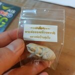 พระต่อยอด(จักรพรรดิ) หลวงพ่อเอ ลพ.เล็ก ลพ.บ๊ะ