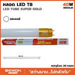 หลอดไฟ นีออน ชุดหลอดพร้อมราง สปริง LED TUBE T8 SUPER GOLD 40W แสงเดย์ ไล้ท์ Daylight 6500K 220-240 VAC 50/60Hz BEWON 4800LM สำเนา