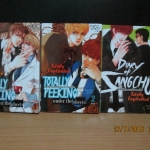 totally captivated เล่มพิเศษ 1-3 จบ