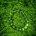 กำไลแก้วจักรพรรดิ์ วัดศาลพันท้ายนรสิงห์